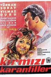 Kirmizi karanfiller постер