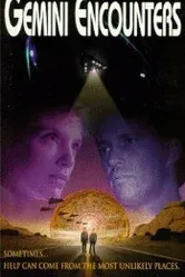 Встреча с близнецами 1995 постер