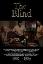 The Blind 2009 постер