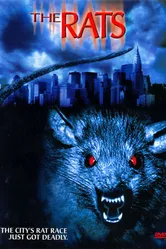 Крысы 2002 постер