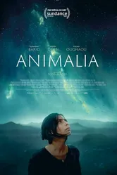 Animalia 2023 постер