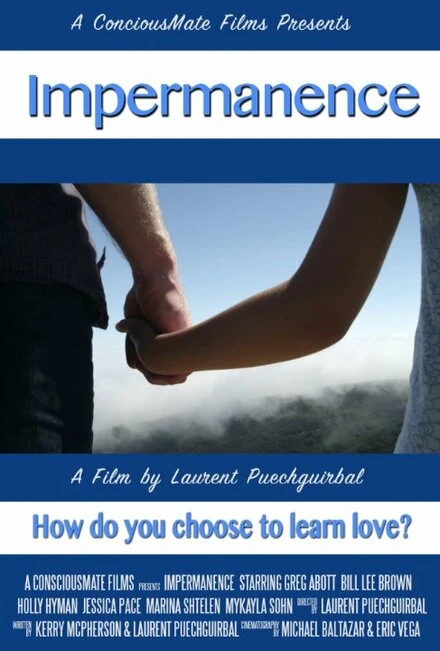 Постер Impermanence 2014
