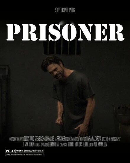 Постер Prisoner 2014