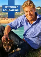 Ветеринар Бондай Бич 2009 постер