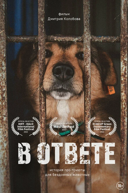 Постер В ответе 2021