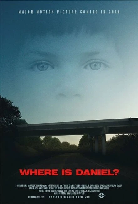 Постер Where Is Daniel?