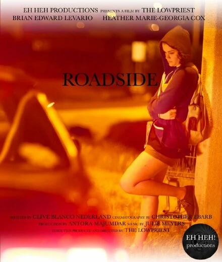 Постер Roadside 2014, США