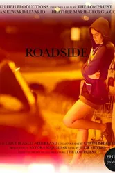 Roadside 2014, США постер