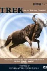 Trek: Spy on the Wildebeest постер
