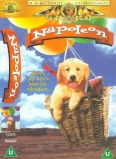 Постер Napoleon 1994
