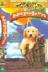 Napoleon 1994 постер