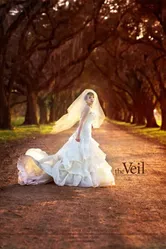 The Veil 2014 постер