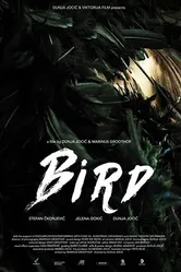 Bird 2015, Сербия постер