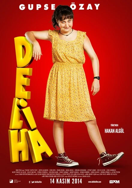 Постер Делиха 2014