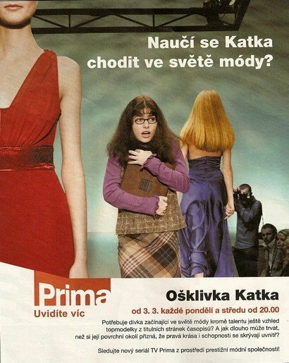 Постер Гадкая Катя 2008
