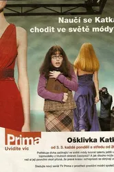 Гадкая Катя 2008 постер