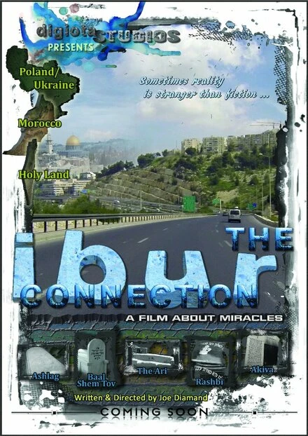 Постер The IBUR Connection