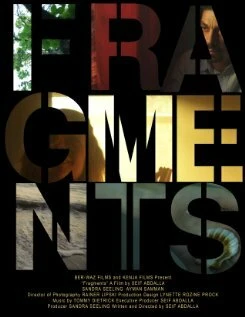 Постер Fragments 2012, США
