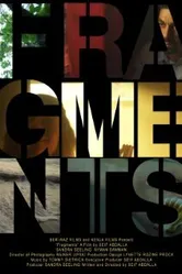 Fragments 2012, США постер