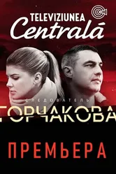 Следователь Горчакова 2019 постер