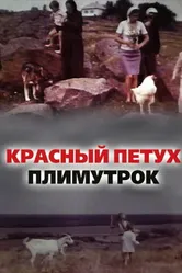Красный петух плимутрок 1975 постер