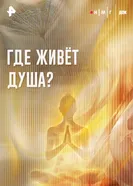 Где живет душа? постер