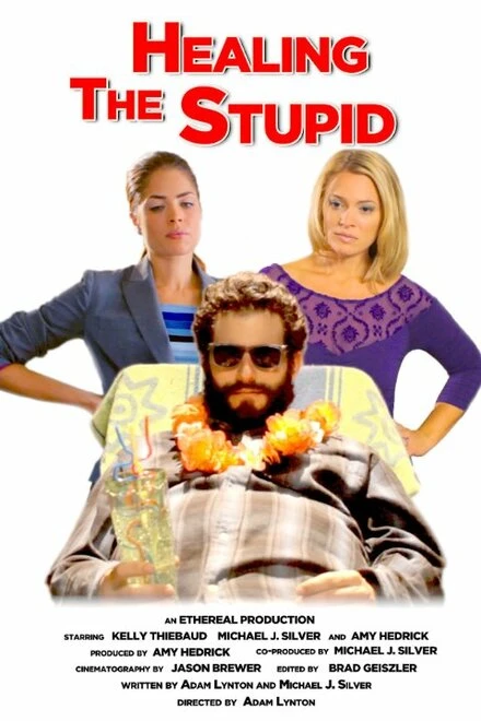 Постер Healing the Stupid 2013