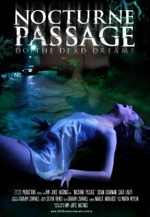 Постер Nocturne Passage