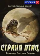 Страна птиц 2011 постер