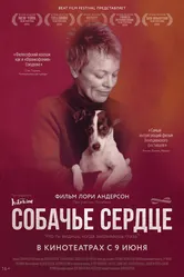 Собачье сердце 2015 постер