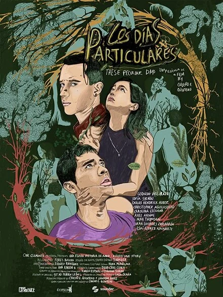 Постер Los días particulares
