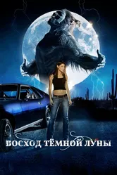 Восход темной луны 2009 постер
