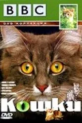 BBC: Кошки 1991 постер