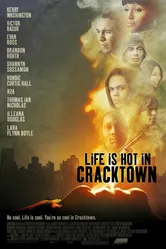 Веселая жизнь в Крэктауне 2008 постер