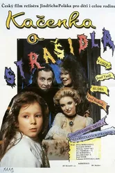 Каченка и призраки 1993 постер