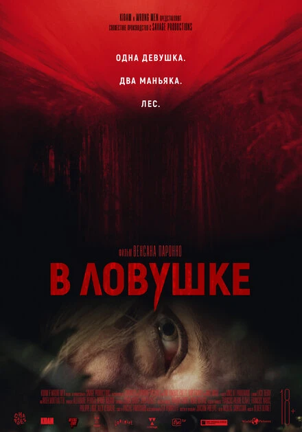 Постер В ловушке 2020
