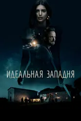 Идеальная западня 2017 постер