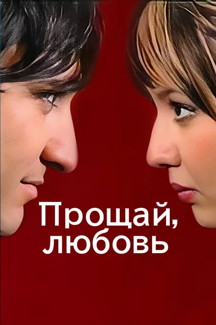 Постер Прощай, любовь 2006