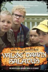 Дети-детективы и секрет Белой леди 2013 постер