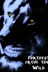 Furthest from the Wild постер