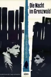 Ночь в пограничном лесу 1968 постер