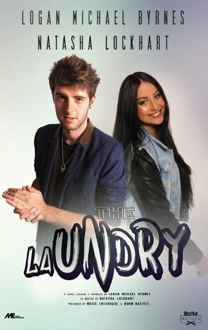 Постер The Laundry 2014