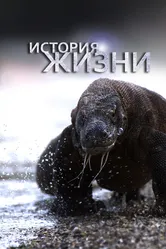 История жизни 2012 постер