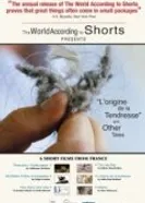 L'origine de la tendresse постер