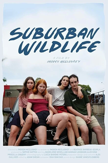 Постер Suburban Wildlife