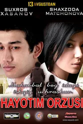Мечта моей жизни 2011 постер