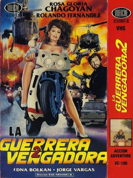 Постер La vengadora 2