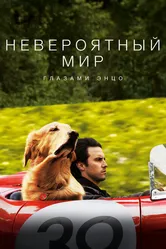 Невероятный мир глазами Энцо 2019 постер