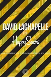 Happy Accidents 2013 постер