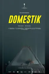 Домашний режим 2018 постер